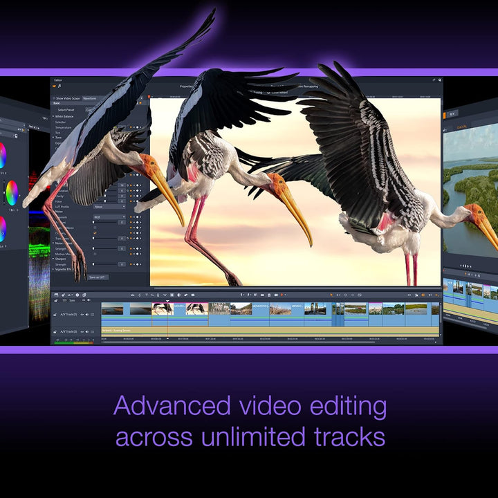 Corel Pinnacle Studio 26 Ultimate, Videobearbeitungssoftware, Postzustellung Postzustellung Ultimate