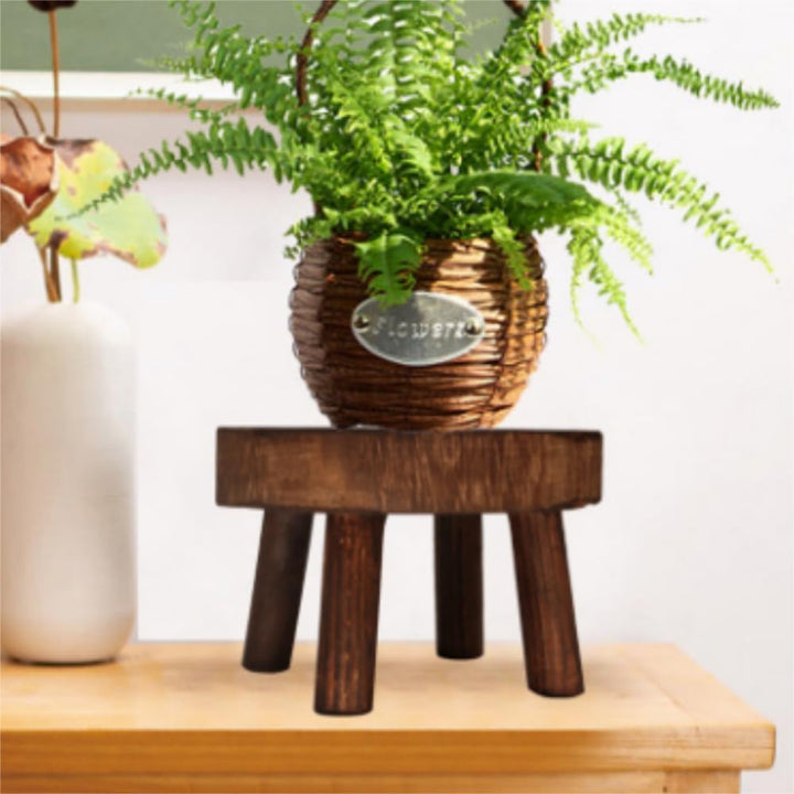 2 Stk Dekorativer Pflanzenständer aus Holz, Mini Multifunktionaler Blumentopfhalter für Heimdekorati