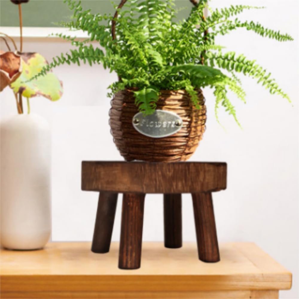 2 Stk Dekorativer Pflanzenständer aus Holz, Mini Multifunktionaler Blumentopfhalter für Heimdekorati