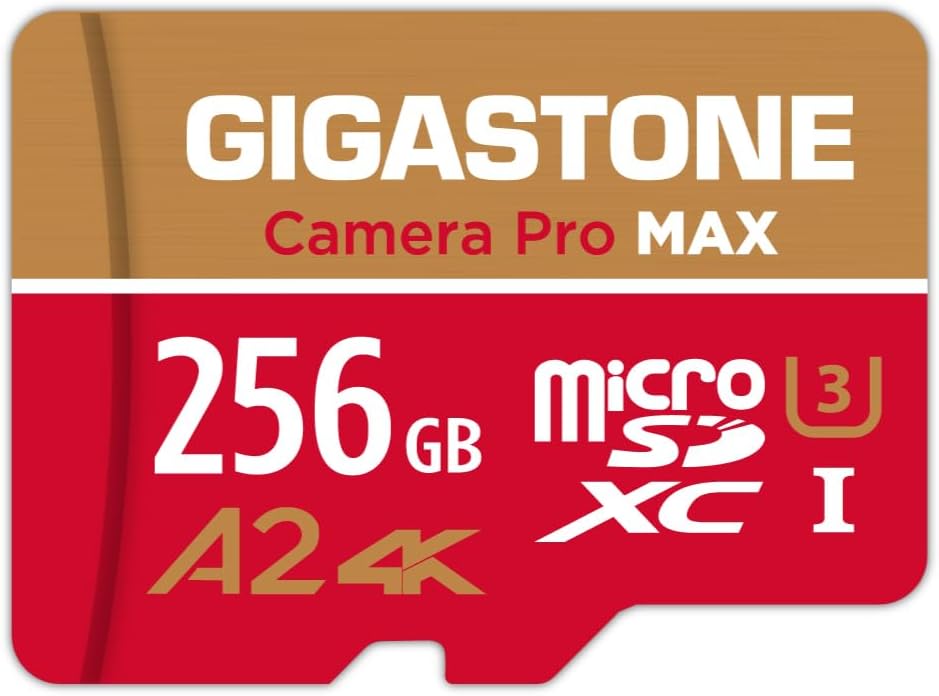 [5 Jahre kostenlose Datenwiederherstellung] GIGASTONE 256 GB Micro SD Karte, Kamera Pro MAX, bis zu