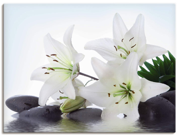 ARTland Leinwandbilder Wandbild Bild auf Leinwand 80x60 cm Madonna-Lilien und Spasteine im Wasser in
