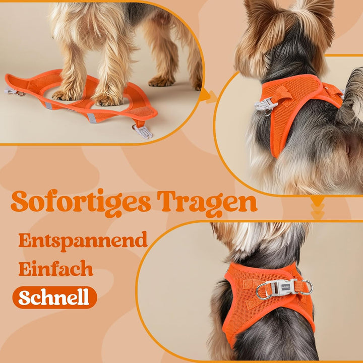 rabbitgoo Hundegeschirr Kleine Hunde, Step-in Welpengeschirr Weich Mesh für Spaziergänge, Atmungsakt