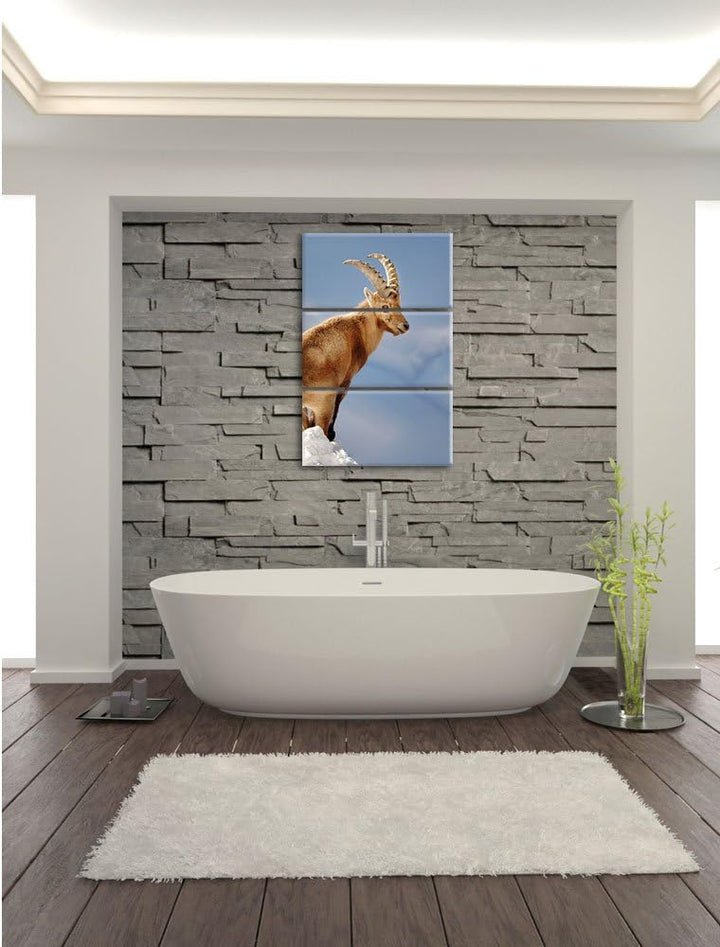 Pixxprint Steinbock im Schnee als Leinwandbild - Grösse: 3-Teilig (120x80cm) - Wandbild - Kunstdruck