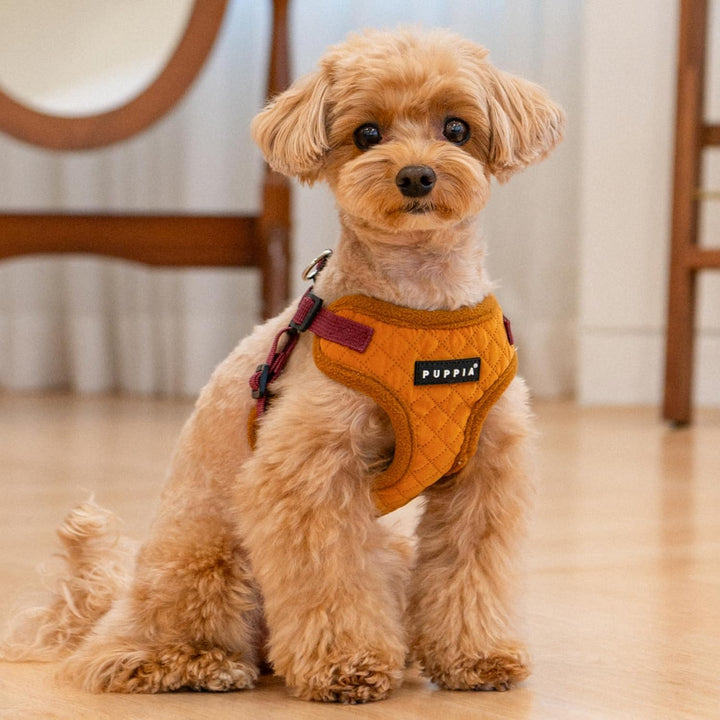 Puppia Irvin Comfort Hundegeschirr, Step-in, warm, Winter, Rautenmuster, Verstellbarer Hals und Brus