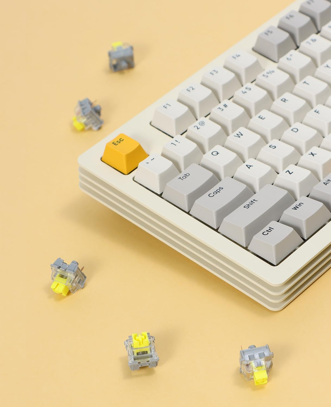 MAGIC-REFINER AS101 Pre-lubed Panda Switches, Taktile Switches für Mechanische Tastatur, 3 Pin 42gf,