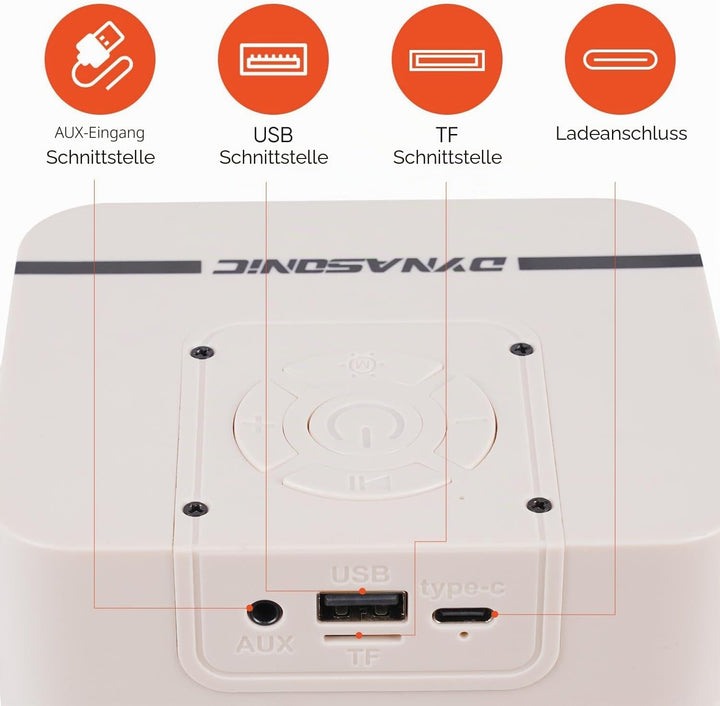DYNASONIC B52 Karaoke mit Zwei Mikrofonen, Bluetooth-Karaoke-Lautsprecher für Kinder, elektronisches