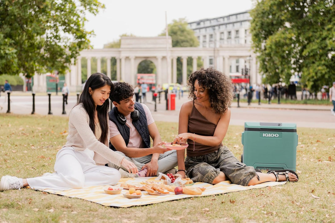 IGLOO elektrische Kühlbox IE42 mit Telekop-Griff und Rollen für Auto und Steckdose, 42 L, 12V und 23