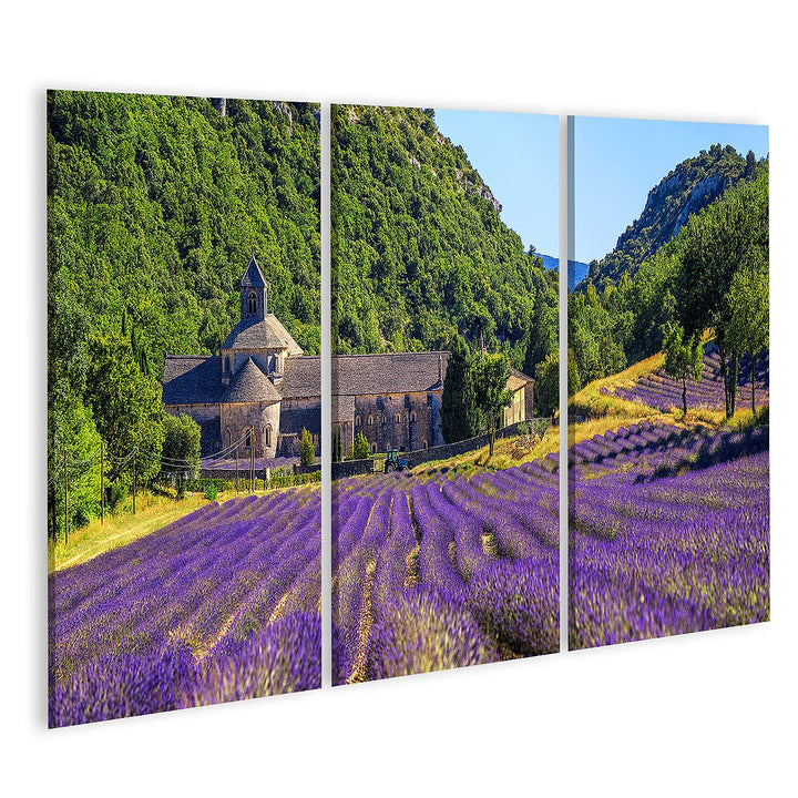 islandburner Bild auf Leinwand Blühendes Lila Lavendelfeld In Der Abtei Senanque In Gordes Provence