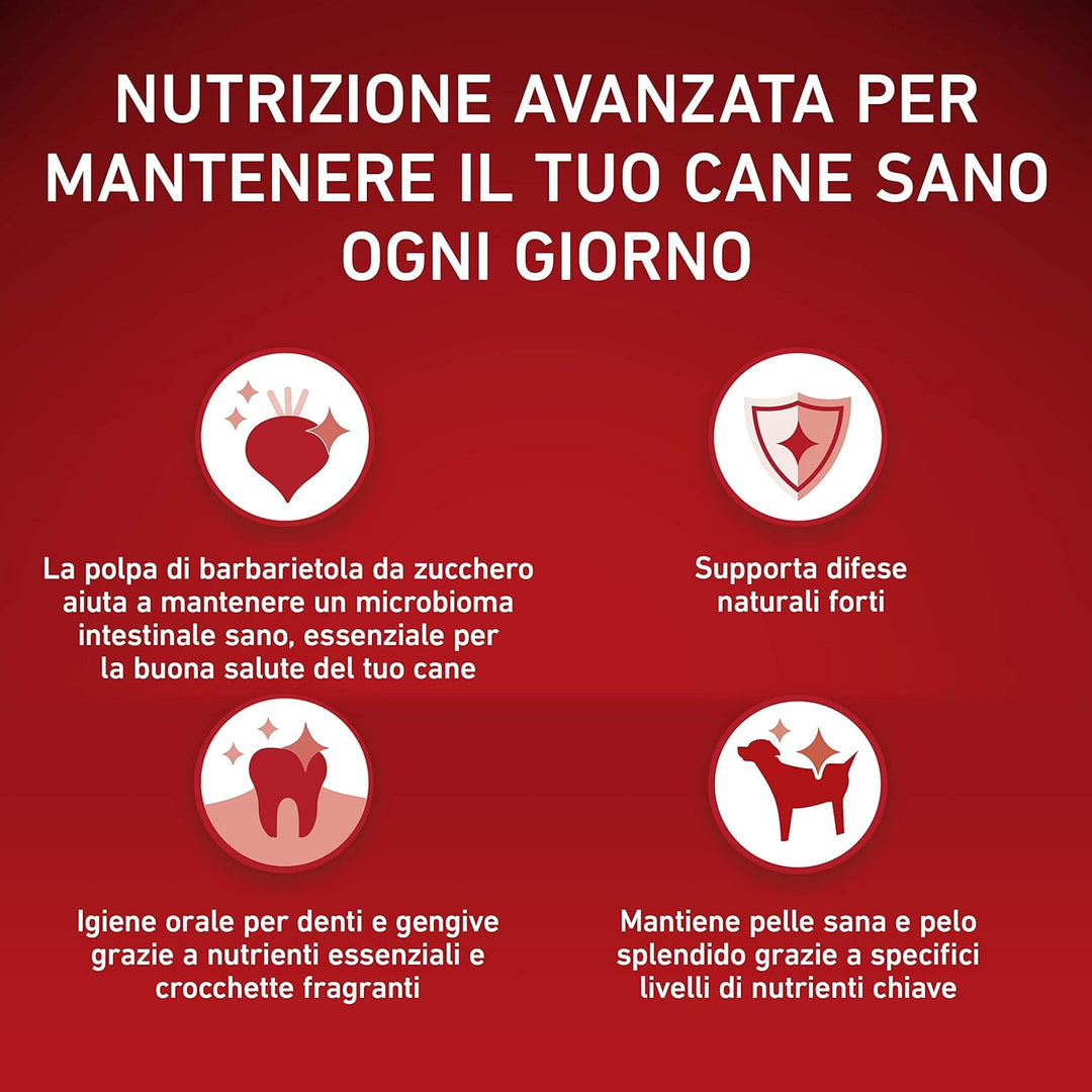 PURINA ONE Mini-Hundekroketten für Erwachsene, reich an Rindfleisch, mit Reis, für Hunde bis 10 kg,