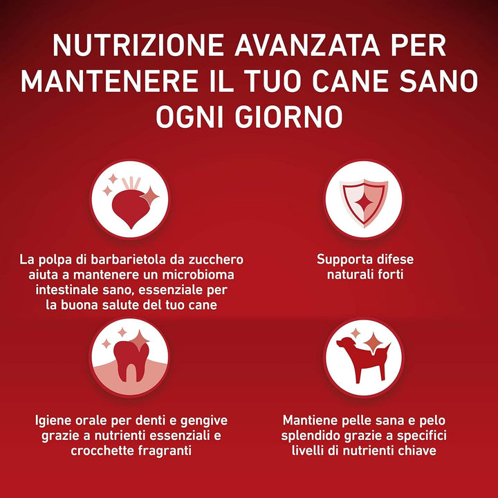 PURINA ONE Mini-Hundekroketten für Erwachsene, reich an Rindfleisch, mit Reis, für Hunde bis 10 kg,