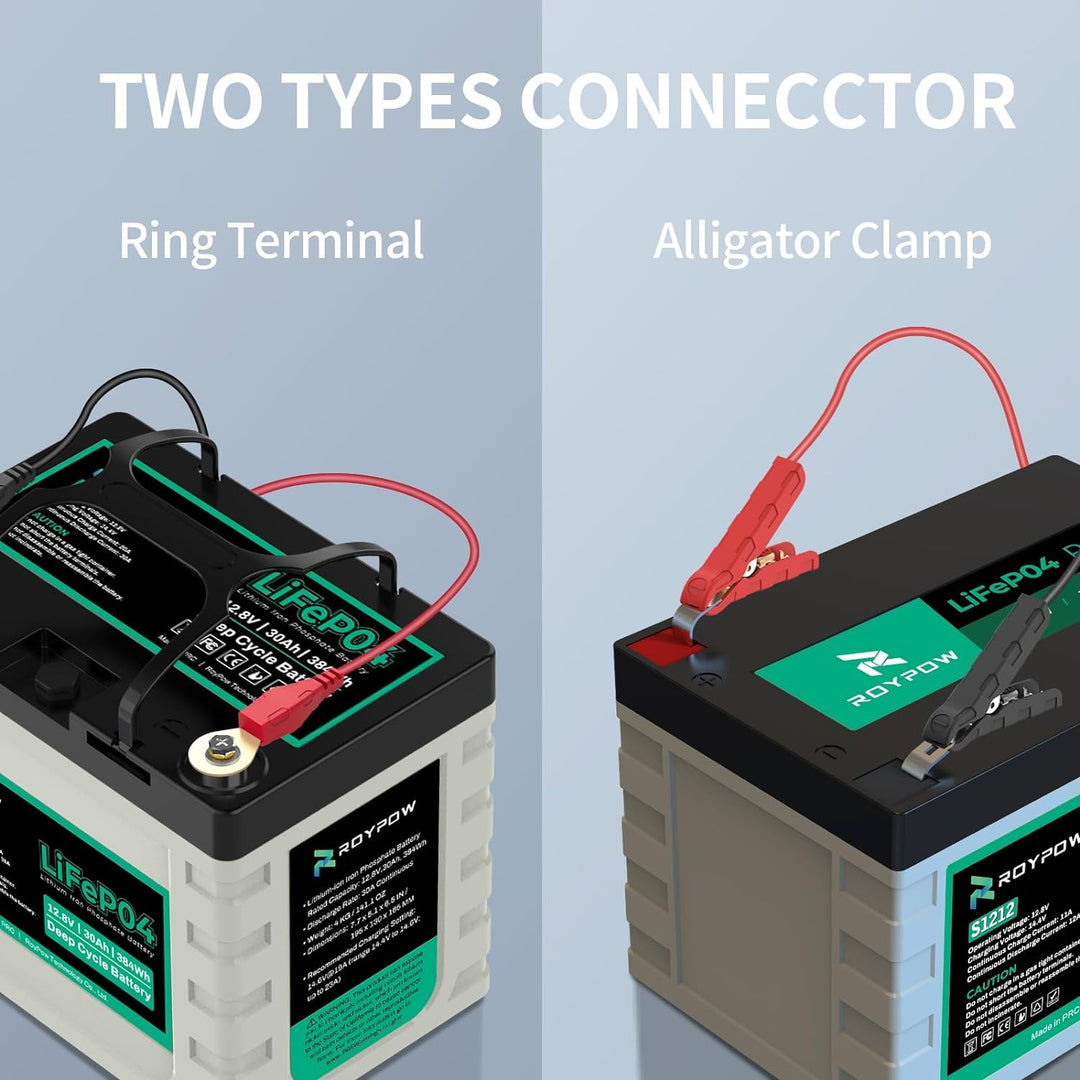 LiFePO4 Ladegerät 12V Lithium Batterieladegerät, RoyPow 3A Erhaltungsladegerät Batterie-Erhaltungsge