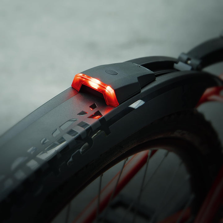 SKS Germany ROWDY REARLIGHT Rücklicht (Für Rowdy Hinterrad-Schutzblech, werkzeuglose Befestigung, Si