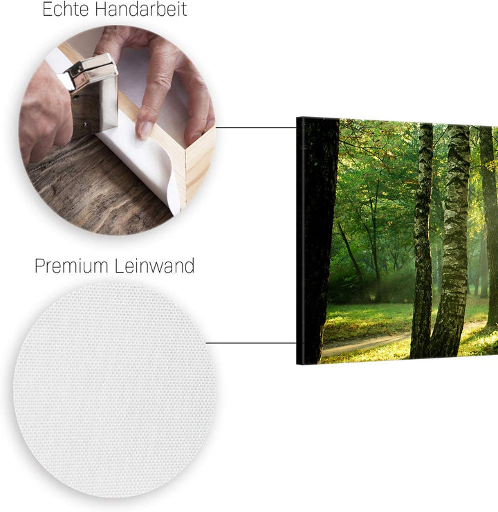 ge Bildet Bild auf Leinwand | Landschaftsbilder - Wald I in 100x40 cm als Panorama Wandbild | Wand-d