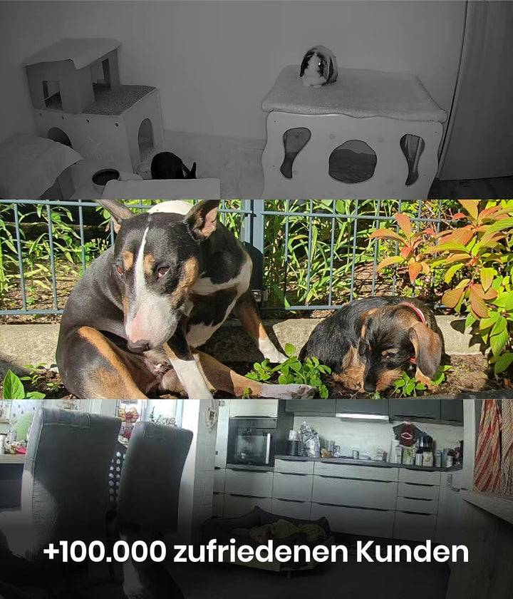 PetTec Cam 360° Hundekamera mit App, WLAN, Sprachfunktion &amp; Nachtsicht für Zuhause - Haustier Überwa