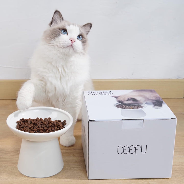 CEEFU Extra breite Katzennäpfe - keramischer Katzennapf 15,7cm Erhöhter Flacher Boden Katzennapf, Sc
