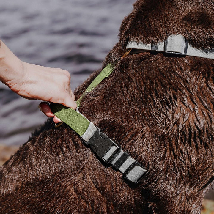 Hundegeschirr Handmade, 5-Fach verstellbar &amp; wasserfest, Made in Germany, kleine bis sehr grosse Hun