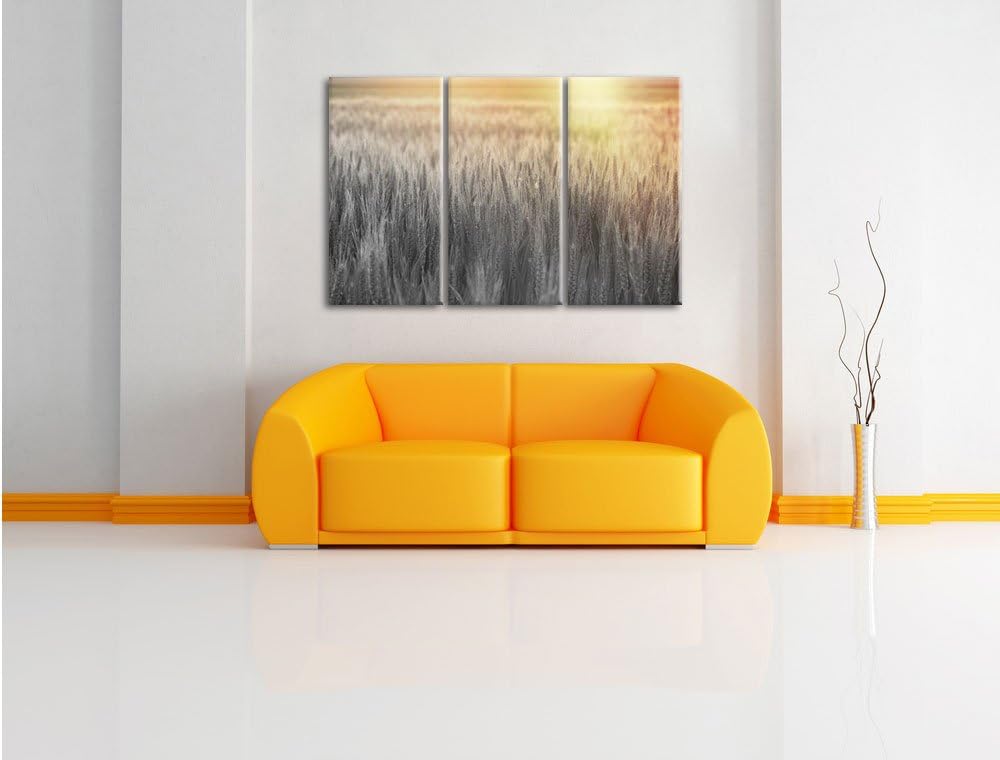 Pixxprint Romantisches Getreidefeld als Leinwandbild/Grösse: 3 Teilig (120x80) cm/Wandbild/Kunstdruc