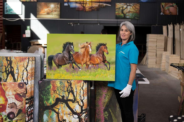 Startonight Bilder Pferderennen auf dem Feld - Leinwandbilder Moderne Kunst - Tiere Wanddeko Kunstdr