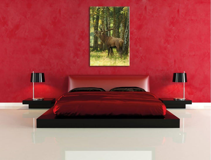 Pixxprint Hirsch im Wald, Format: 100x70 auf Leinwand, XXL riesige Bilder fertig gerahmt mit Keilrah