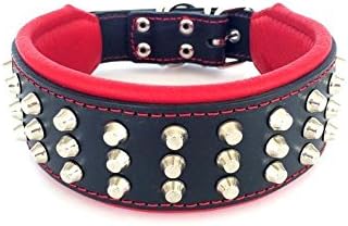 Bestia™ "Stud Echtleder Hundehalsband mit Stumpfnieten für grosse Hunde. Weich gepolstert. 6,3 cm br