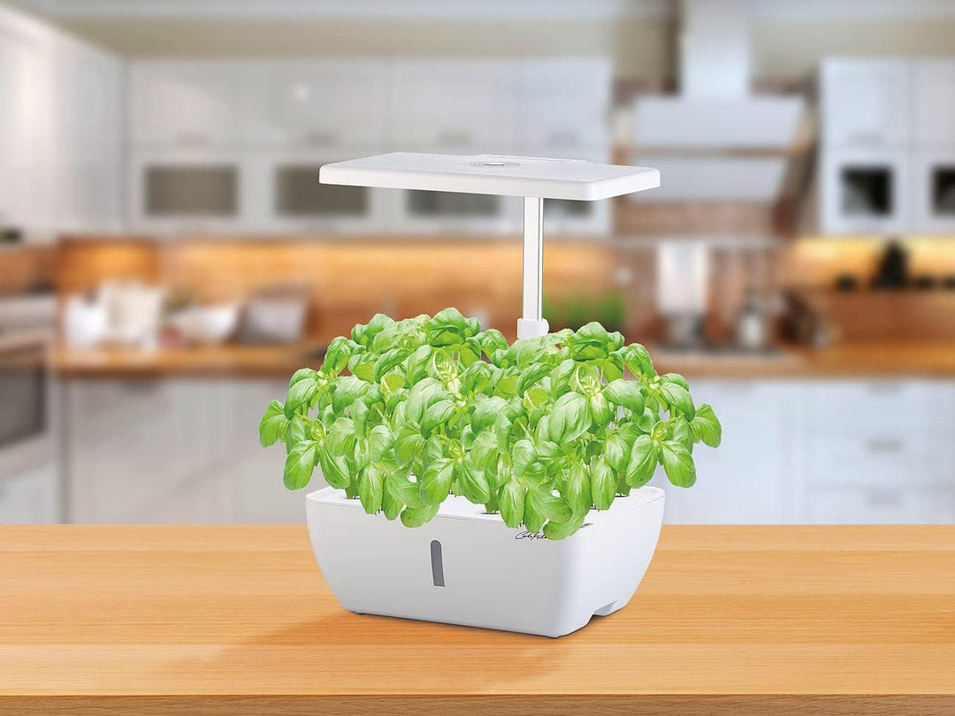 Carlo Milano Smart Garden: Smartes WLAN-Anzuchtsystem für 12 Pflanzen, Wachstums-LEDs, App, 7 l (Pfl