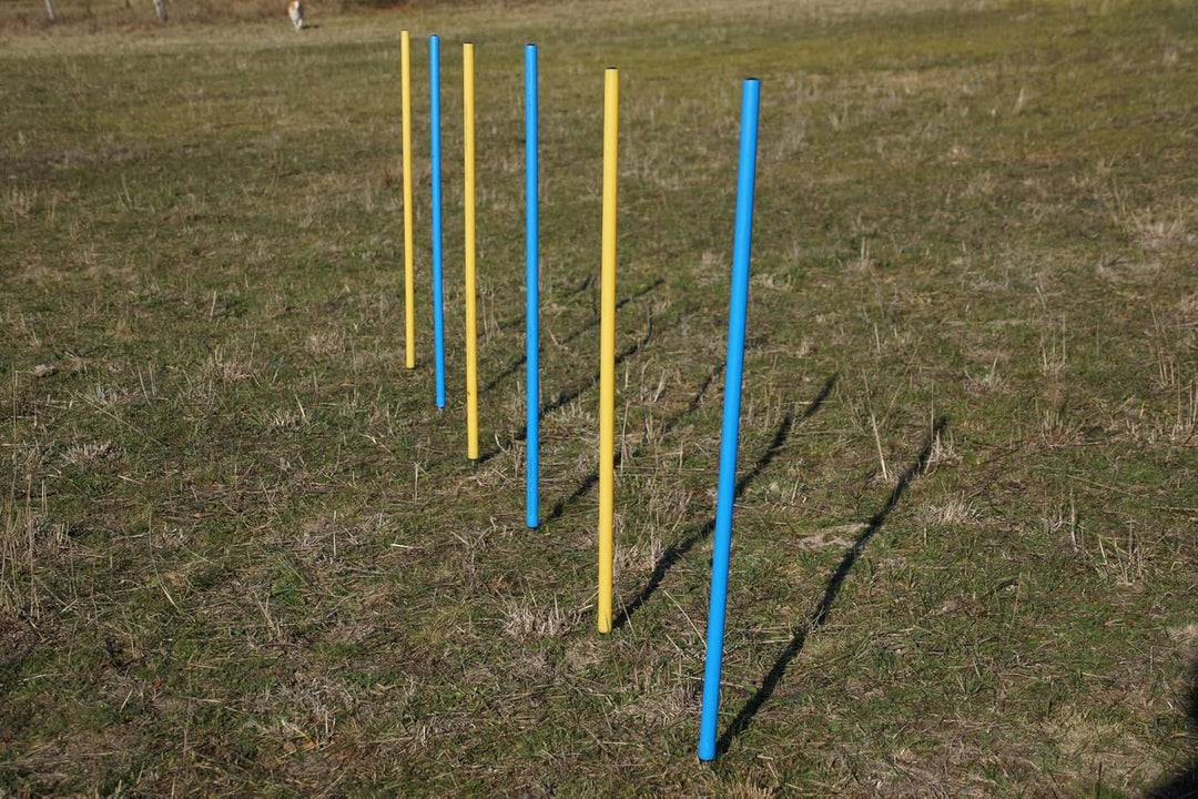Agility-ÜBUNGS-Slalom-Set, Flexible runde Stangen BLAU/GELB (6)