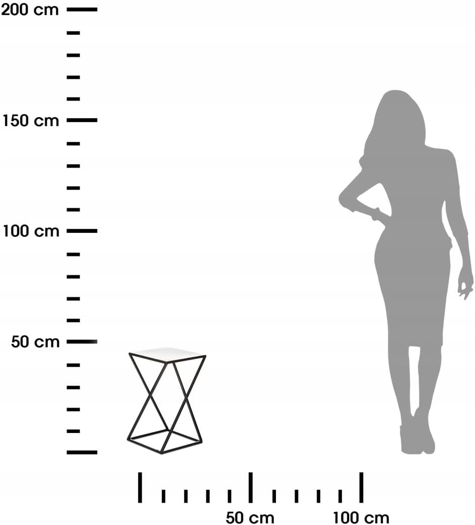 HowHomely Blumenständer Metall Schwarz 40 cm Hoch - Solider und Robuster Blumenhocker Metall - Pflan