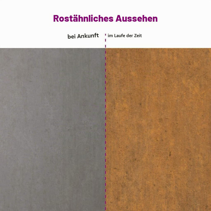vidaXL Dachplatten 12 Stk., Trapezblech Wellblech, Dachblech Profilblech für Gerätehaus, Metallblech