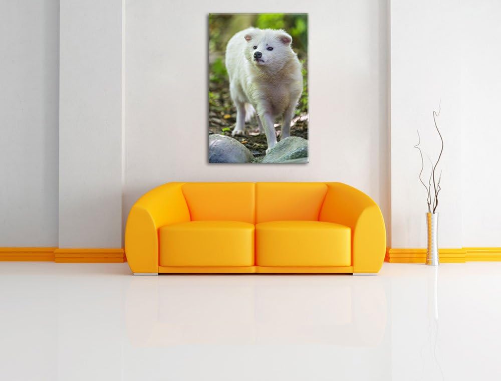 Pixxprint niedlicher Polarfuchs auf Leinwand, XXL riesige Bilder fertig gerahmt mit Keilrahmen, Kuns