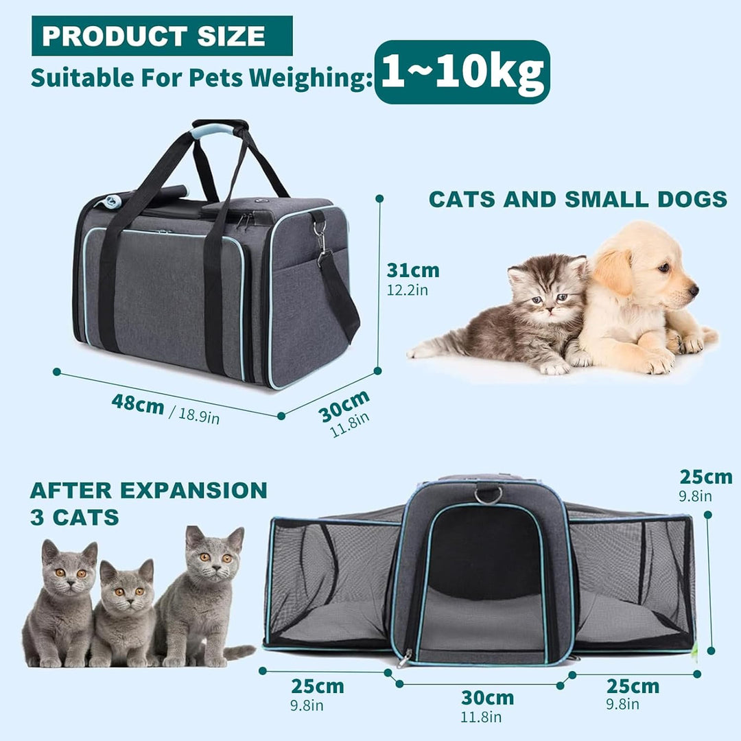 PETCUTE Faltbare Transporttasche Katze und Hund,Katzentransportbox Hundetragetasche mit Waschbare Ma