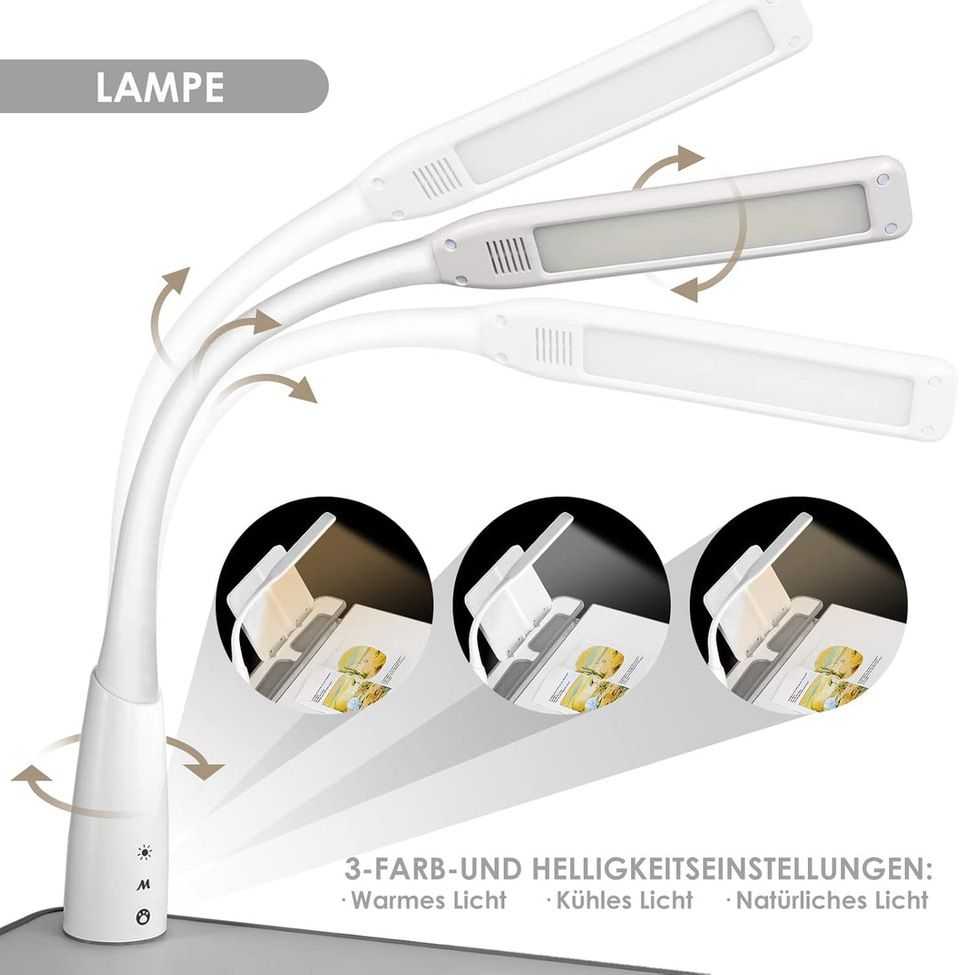 JOYLDIAS Kinderschreibtisch höhenverstellbar, Schülerschreibtisch Jugendschreibtisch mit Lampe, Schr