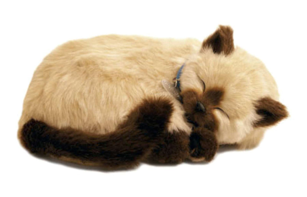 Katze, Plüsch, Siamese The Breathing Puppy