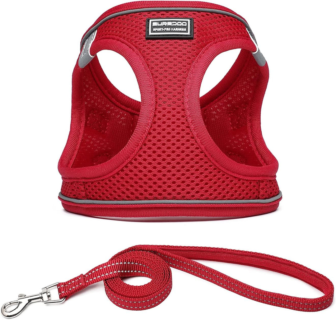 Suredoo Hundegeschirr mit Leine Anti Zug Geschirr Reflektierend Brustgeschirr für Kleine Hunde, Haus