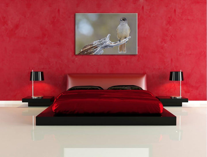 kleiner Vogel auf Ast Leinwand, XXL riesige Bilder fertig gerahmt mit Keilrahmen, Kunstdruck auf Wan