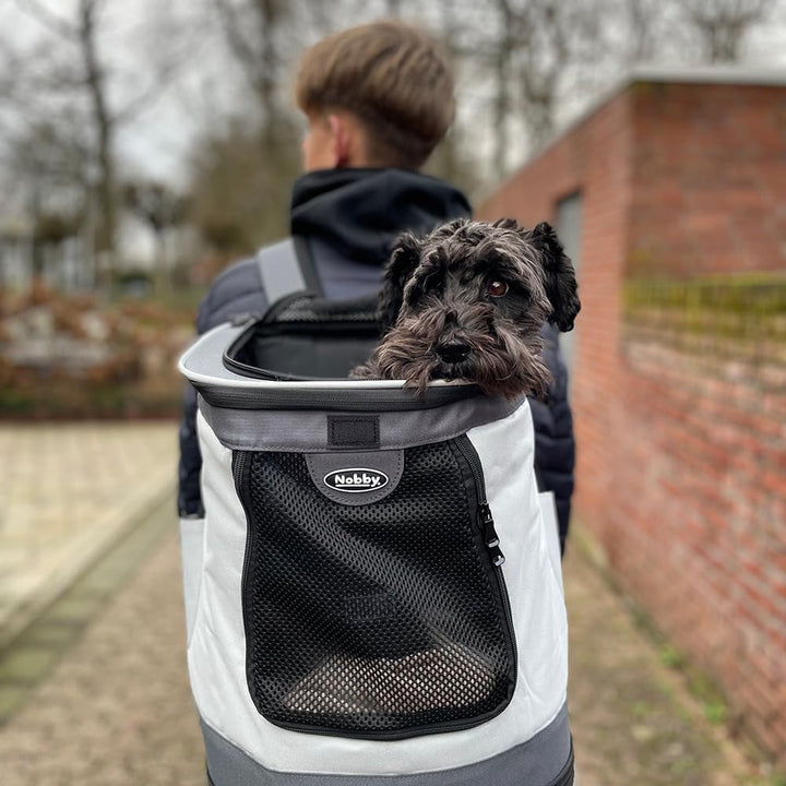 Nobby Rucksack "PLATA" grau 34 x 30 x 43 cm, Grau