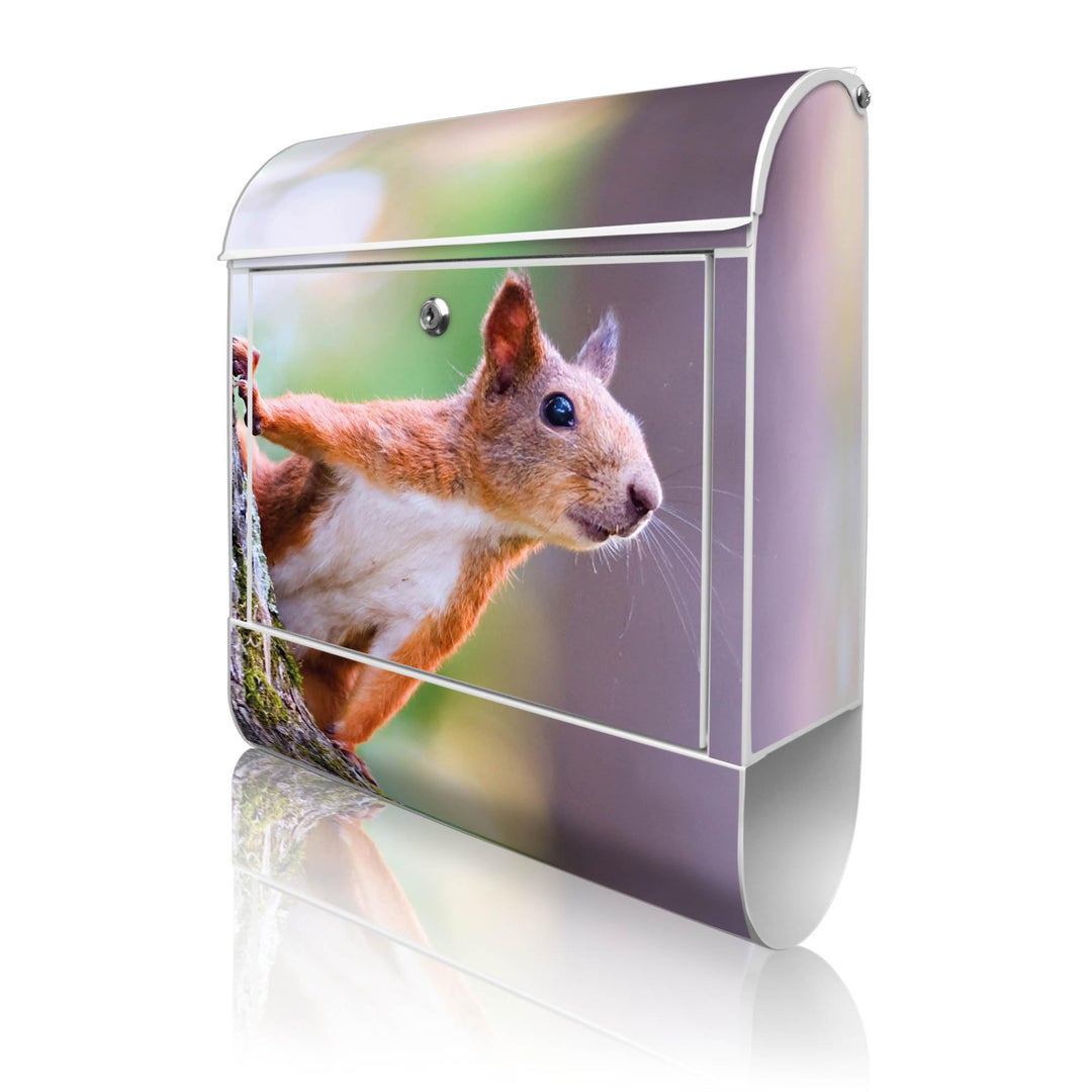 banjado® Design Briefkasten mit Motiv Eichhörnchen 39x47x14cm &amp; 2 Schlüssel - Briefkasten Stahl weis