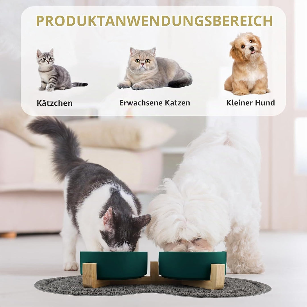 Katzennapf, 2 Stück Keramik Futternapf Katze Set, 3-in-1 rutschfeste Katzennäpfe mit Holzstände und