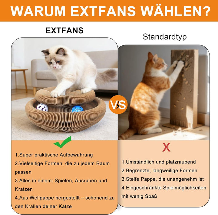 Kratzbrett Katze, 2-in-1 Cat Kratzbrett mit Glöckchen, Magische Orgel Cat Scratching Board, Zusammen