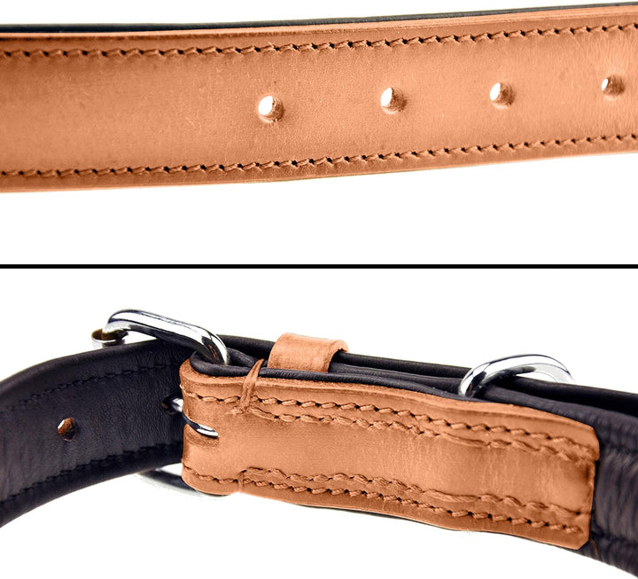 Schnüffelfreunde Halsband für Hunde aus Leder, Hundehalsband für den grossen, mittleren und kleinen