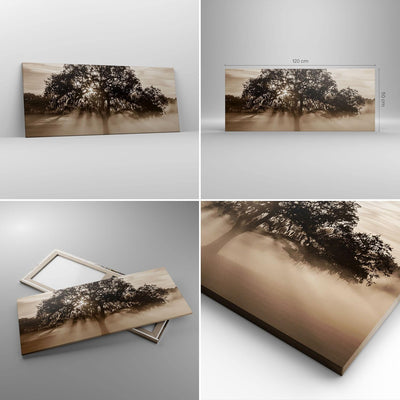 Wandbilder Dekoration Wohnzimmer Baum Feld Natur Panorama Bilder auf Leinwand 120x50cm Leinwandbild