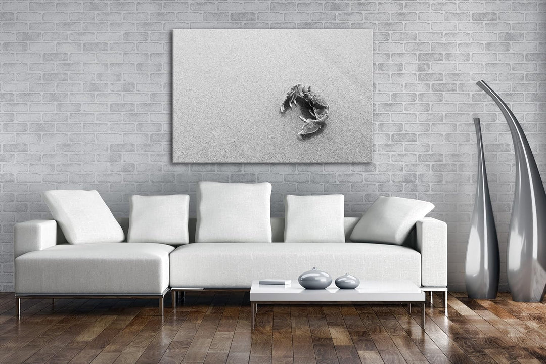 deyoli rote Krabbe im Sand Effekt: Schwarz/Weiss im Format: 80x60 als Leinwandbild, Motiv fertig ger