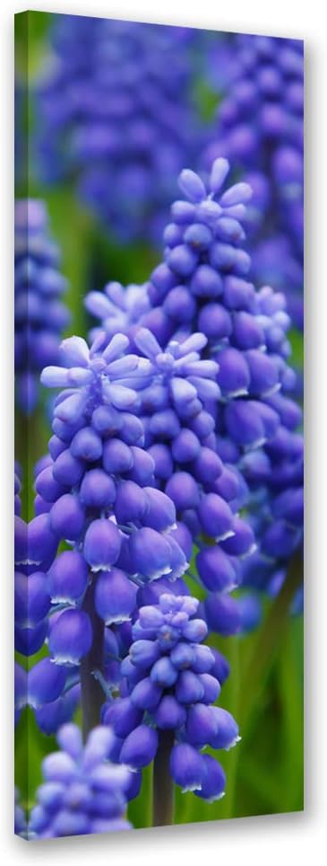 Feeby Wandbild Blumen Druckbild Leinwandbild abstrakt Violett 40x120 cm Leinwandbild 40x120 cm Viole