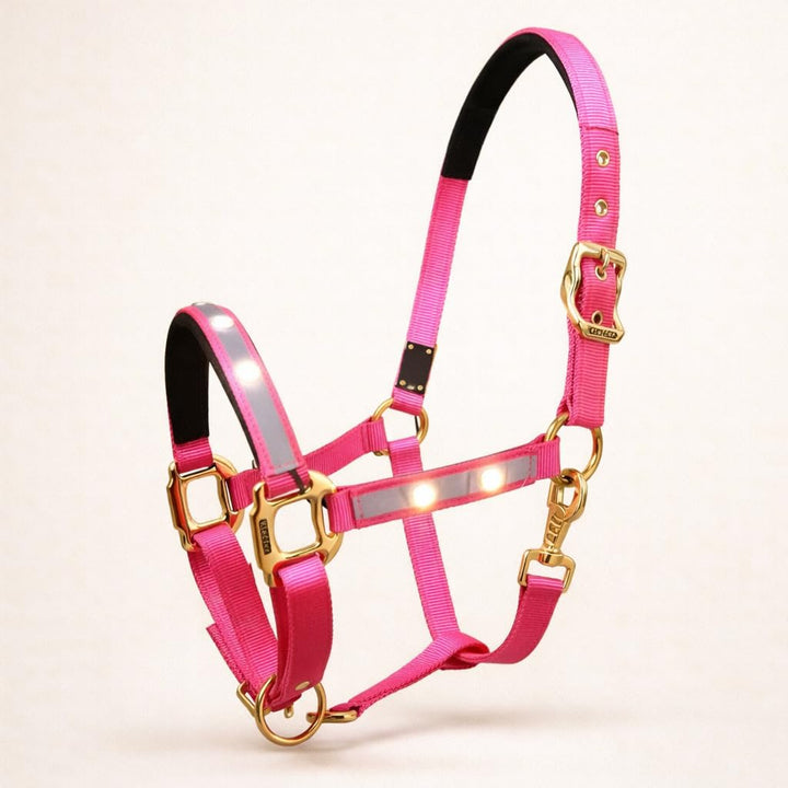 Reinecke Equestrian Premium Leuchthalfter Reflexhalfter Sicherheitshalfter Stallhalfter Weidehalfter