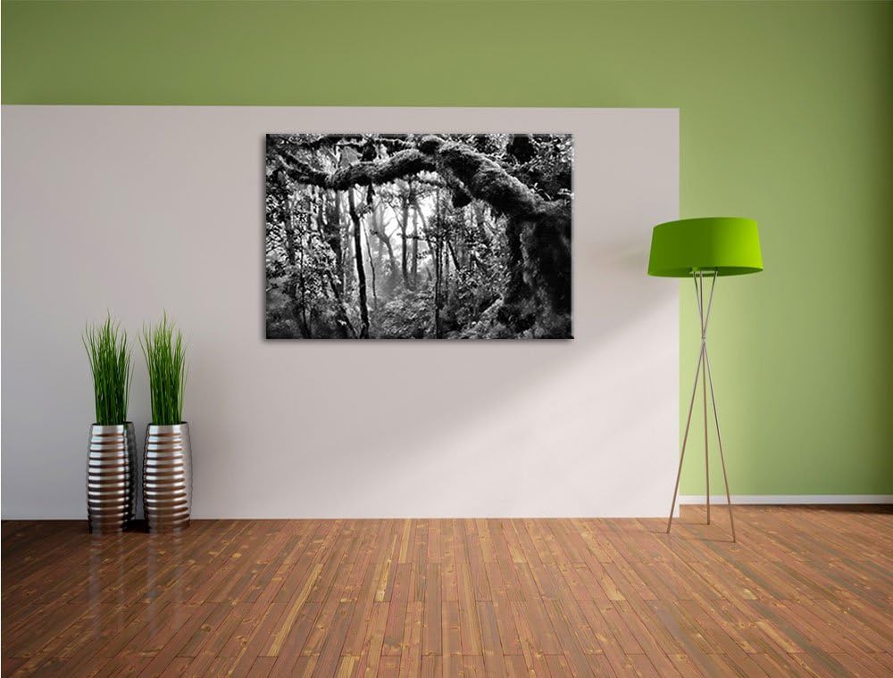 Pixxprint Regenwald Bäume See / 100x70cm Leinwandbild bespannt auf Holzrahmen/Wandbild Kunstdruck De