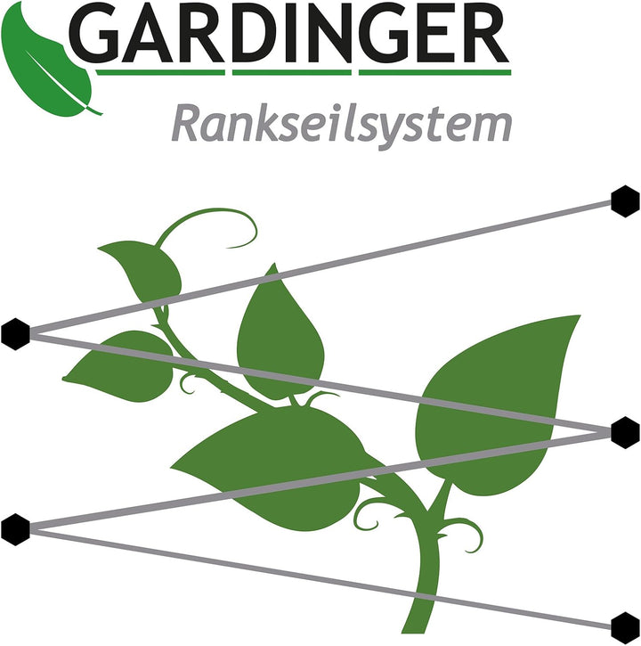 Ranksystem Rankseilsystem GARDINGER, verzinkt oder Edelstahl. 2 (Edelstahl), 2 (Edelstahl)