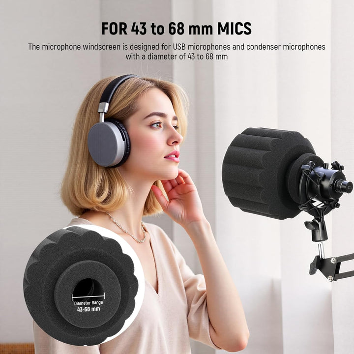 NEEWER Mikrofon Isolationsschild Popschutz, Windschutz Microphone Pop Filter Mask Shield für Gesangs