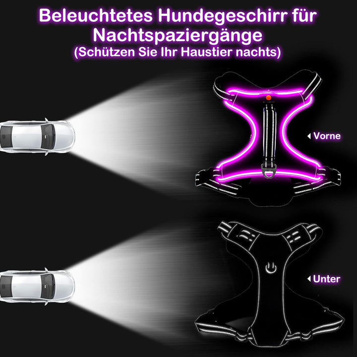 Hundegeschirr Leuchtend Wiederaufladbares Leuchtgeschirr für Hunde Led Beleuchtetes Hundegeschirr fü