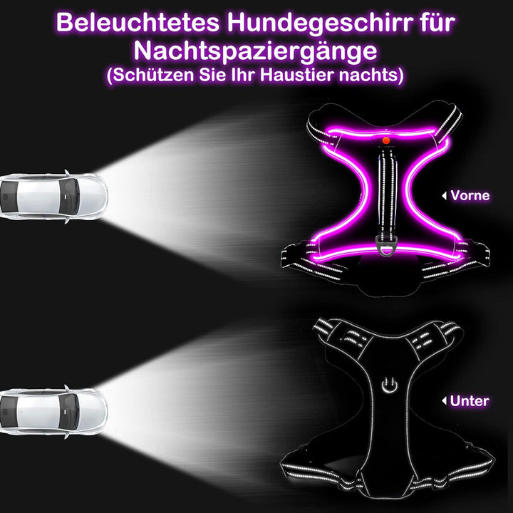 Hundegeschirr Leuchtend Wiederaufladbares Leuchtgeschirr für Hunde Led Beleuchtetes Hundegeschirr fü