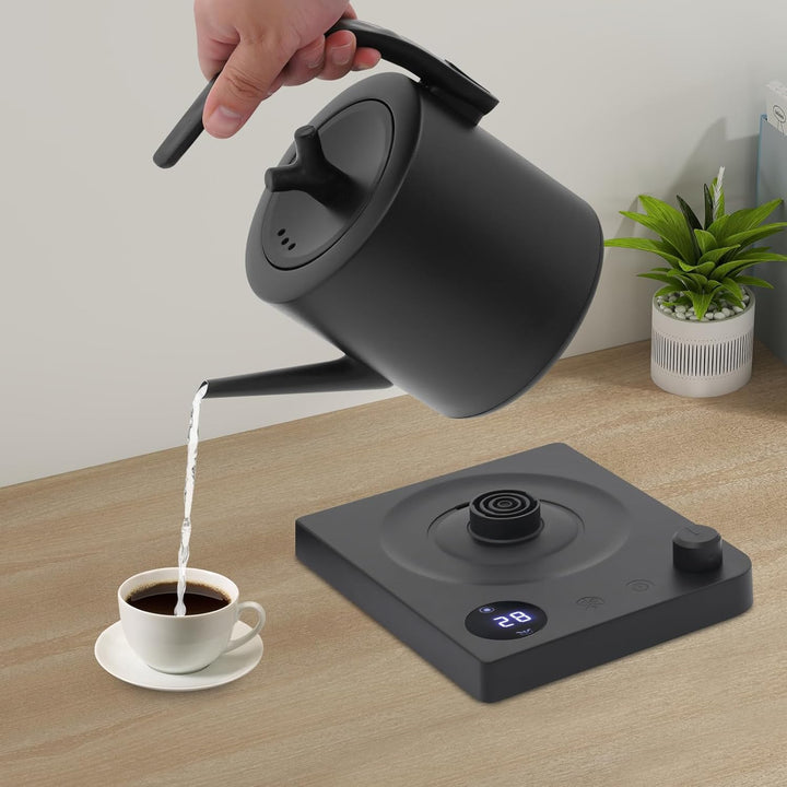 Wasserkocher mit Schwanenhals Edelstahl 1L, Teekocher Elektrisch, Wasserkocher mit Temperatureinstel