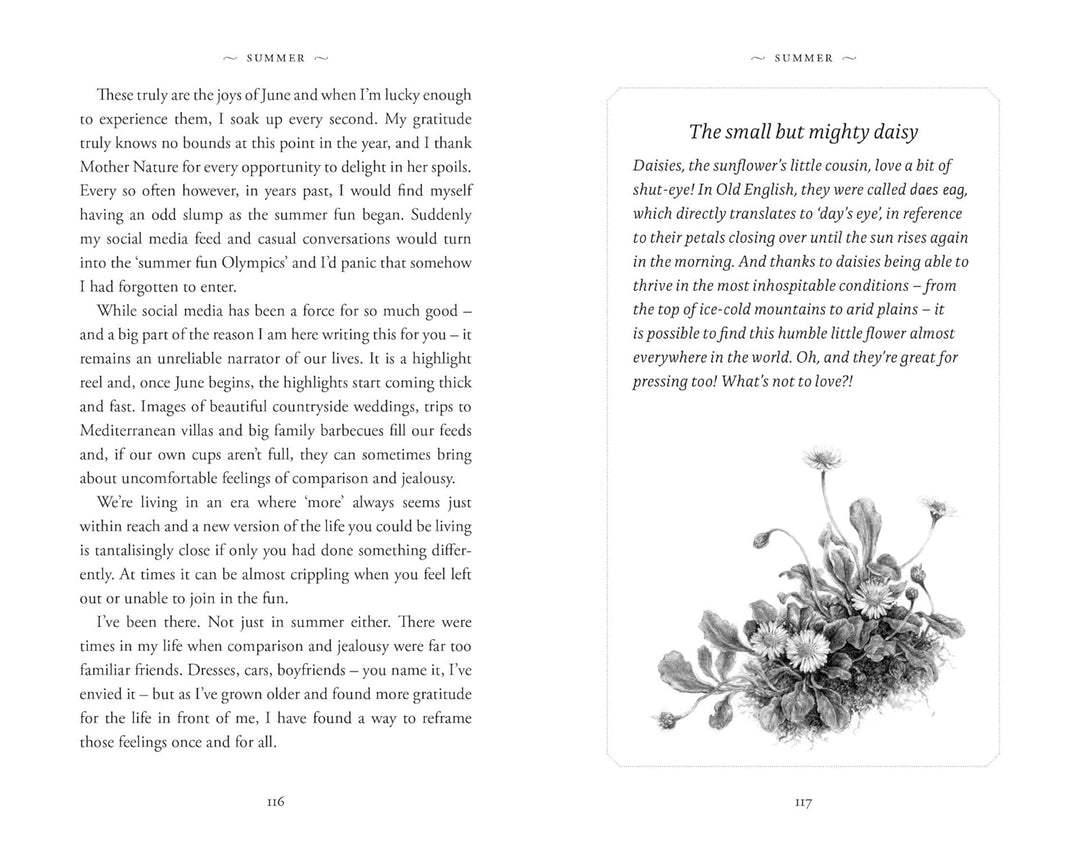 The Evergreen Journal (Lydia Elise Millen), Gebundenes Buch